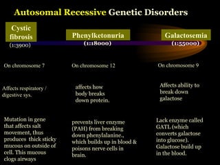 Autosomal Recessive Genetic Disorders
Cystic
fibrosis Galactosemia
Phenylketonuria
On chromosome 7
(1:3900)
Affects respiratory /
digestive sys.
Mutation in gene
that affects salt
movement, thus
produces thick sticky
mucous on outside of
cell. This mucous
clogs airways
On chromosome 12
affects how
body breaks
down protein.
(1:18000)
prevents liver enzyme
(PAH) from breaking
down phenylalanine.,
which builds up in blood &
poisons nerve cells in
brain.
(1:55000)
On chromosome 9
Affects ability to
break down
galactose
Lack enzyme called
GATL (which
converts galactose
into glucose).
Galactose build up
in the blood.
 