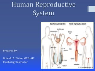 Human Reproductive
System
Prepared by:
Orlando A. Pistan, MAEd-GC
Psychology Instructor
 
