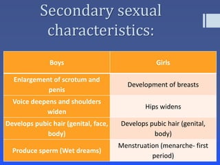 human-reproductive-system-pptx