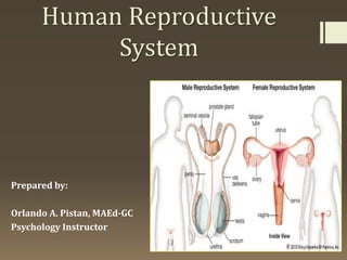 Human Reproductive
System
Prepared by:
Orlando A. Pistan, MAEd-GC
Psychology Instructor
 