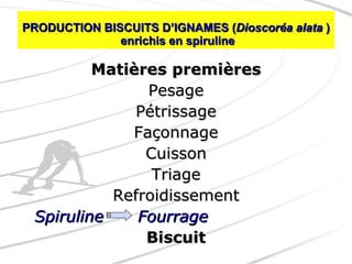 PRODUCTION BISCUITS D’IGNAMES ( Dioscoréa alata  )  enrichis en spiruline Matières premières Pesage Pétrissage Façonnage Cuisson Triage Refroidissement Spiruline    Fourrage Biscuit 