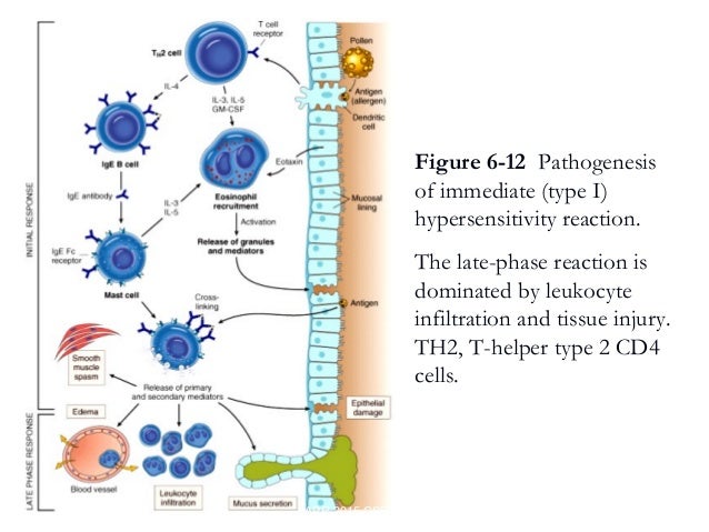 3 immunology-csbrp bromine phase diagram 
