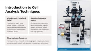 Comprehensive Overview of Immunofluorescence and Flow Cytometry ...