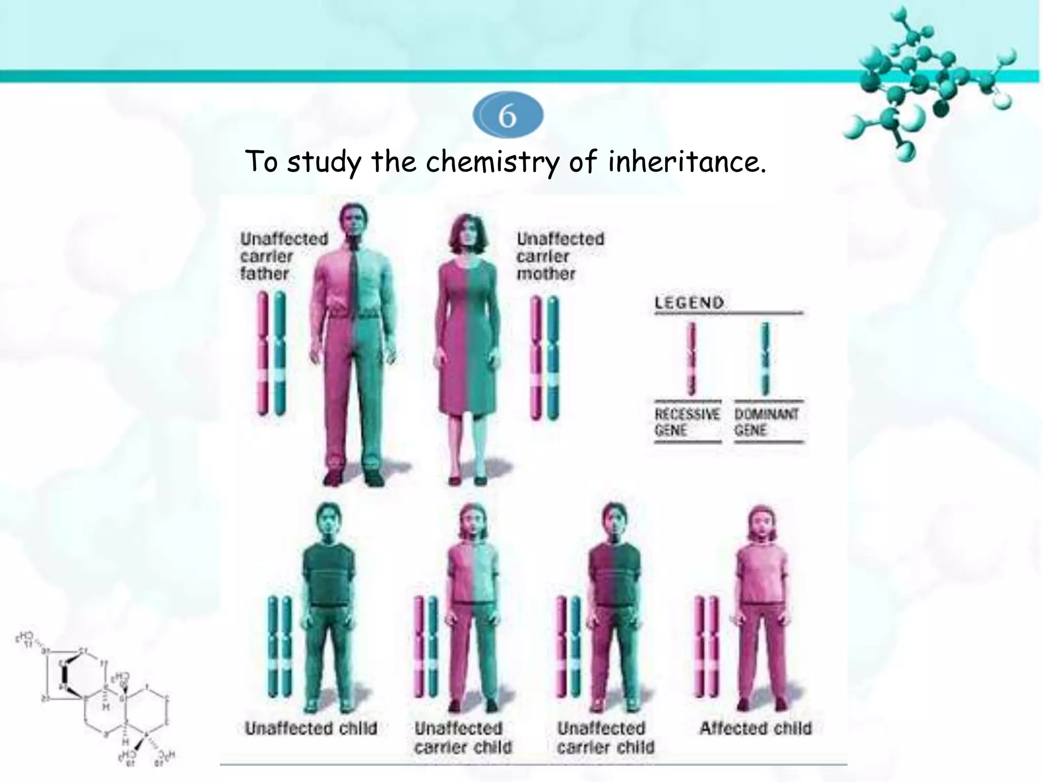 To study the chemistry of inheritance.
 