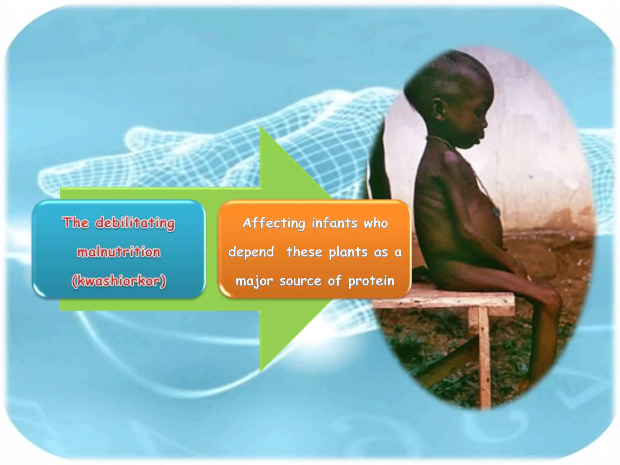 3   importance of biochemistry