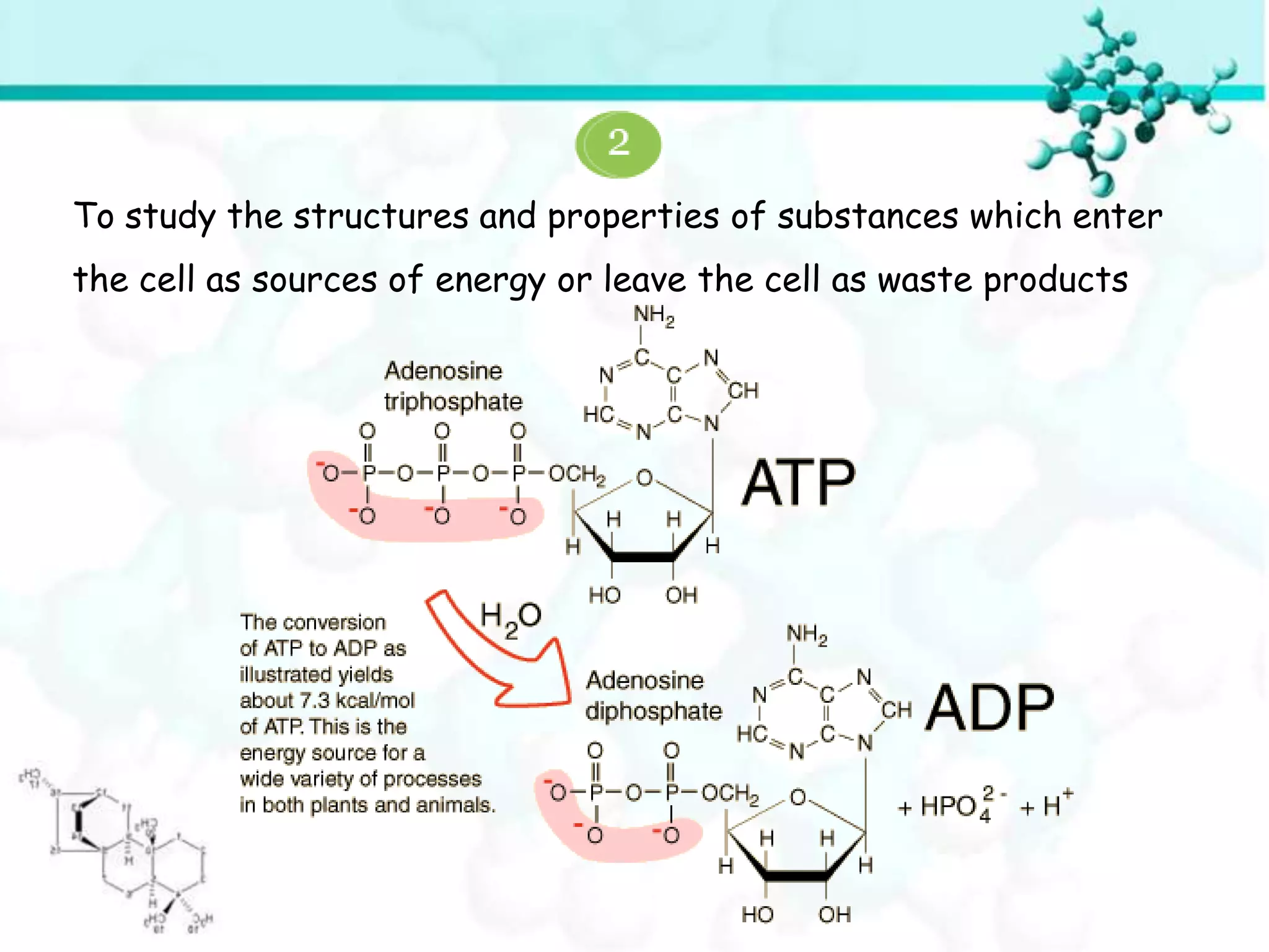 To study the structures and properties of substances which enter
the cell as sources of energy or leave the cell as waste products
 