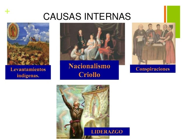 Causas Internas Y Externas De La Independencia De Brasil