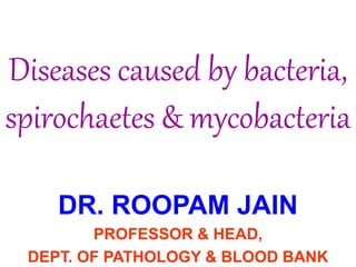 Diseases caused by bacteria,
spirochaetes & mycobacteria
DR. ROOPAM JAIN
PROFESSOR & HEAD,
DEPT. OF PATHOLOGY & BLOOD BANK
 