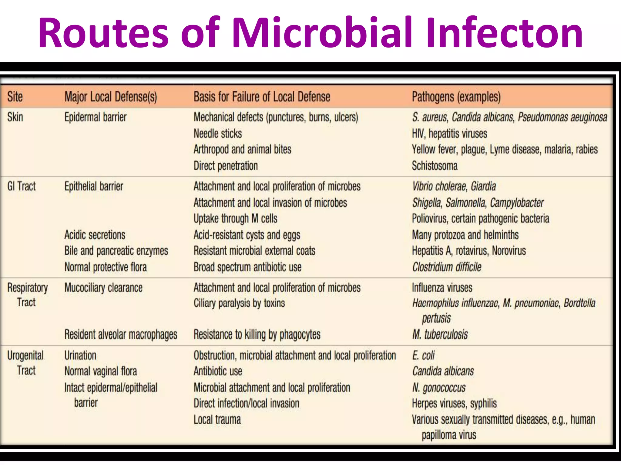 INFECTIOUS DISEASE (Diseases caused by bacteria, spirochaetes ...