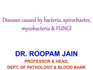 Diseases caused by bacteria, spirochaetes,
mycobacteria & FUNGI
DR. ROOPAM JAIN
PROFESSOR & HEAD,
DEPT. OF PATHOLOGY & BLOOD BANK
 