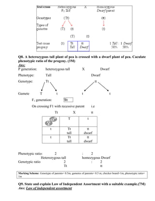 3-inheritanc-and-variation.pdf HSC BIOLOGY 3-inheritanc-and-variation | PDF