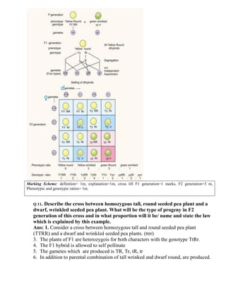 3-inheritanc-and-variation.pdf HSC BIOLOGY 3-inheritanc-and-variation | PDF
