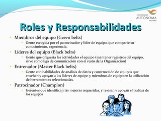 Roles y Responsabilidades
Miembros del equipo (Green belts)
     Gente escogida por el patrocinador y líder de equipo, que comparte su
     conocimiento, experiencia.
Líderes del equipo (Black belts)
     Gente que orquesta las actividades el equipo (mantener registros del equipo,
     sirve como liga de comunicación con el resto de la Organización)
Entrenador (Master Black belts)
     Gente con habilidades de análisis de datos y construcción de equipos que
     enseñan y apoyan a los líderes de equipo y miembros de equipo en la utilización
     de herramientas seleccionadas.
Patrocinador (Champion)
     Gerentes que identifican las mejoras requeridas, y revisan y apoyan el trabaja de
     los equipos
 