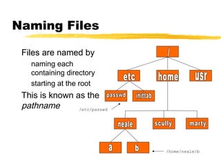 Naming Files

 Files are named by
   naming each
   containing directory
   starting at the root
 This is known as the
 pathname       /etc/passwd




                              /home/neale/b
 