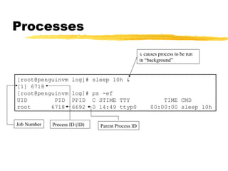 Processes
                                                   & causes process to be run
                                                   in “background”


[root@penguinvm       log]# sleep 10h &
[1] 6718
[root@penguinvm       log]# ps -ef
UID        PID        PPID C STIME TTY                      TIME CMD
root      6718        6692 0 14:49 ttyp0                00:00:00 sleep 10h


Job Number   Process ID (ID)   Parent Process ID
 