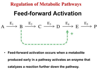 3 introduction to metabolism-pdf | PDF