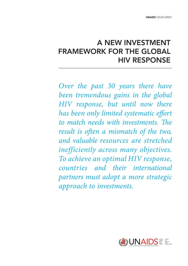 3 investmentframeworksummaryunaidsissuesbrief PDF