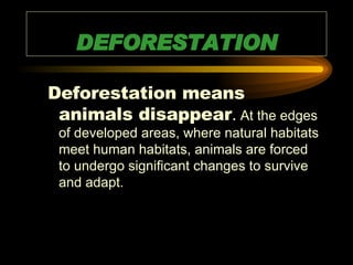 DEFORESTATION ,[object Object]