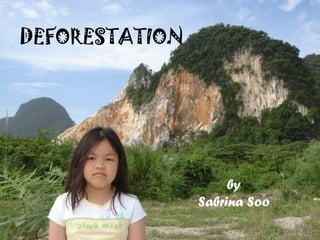 DEFORESTATION by Sabrina Soo 