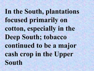 In the South, plantations
focused primarily on
cotton, especially in the
Deep South; tobacco
continued to be a major
cash crop in the Upper
South
 