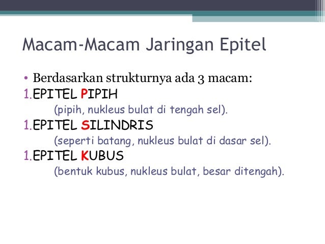 ppt jaringan  hewan 