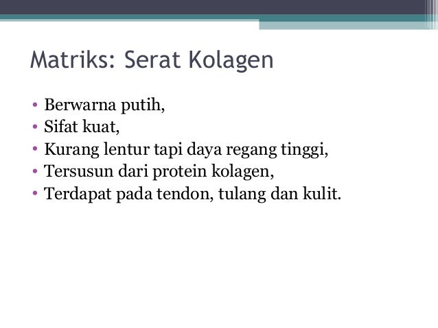 ppt jaringan hewan