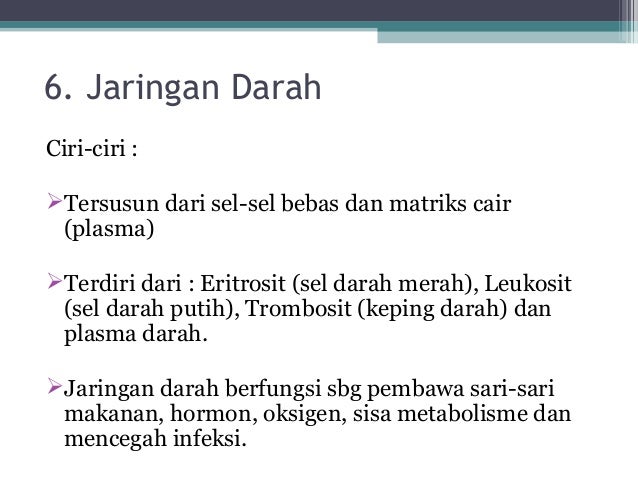 ppt jaringan  hewan 