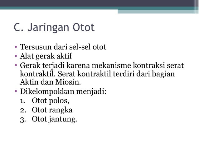 ppt jaringan  hewan 