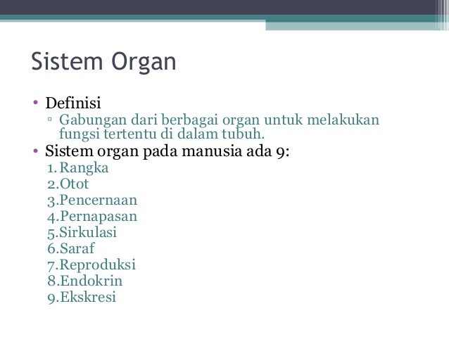  ppt  jaringan hewan 