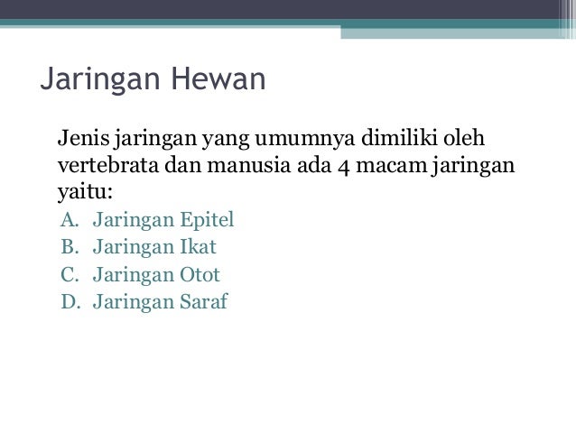  ppt  jaringan  hewan 