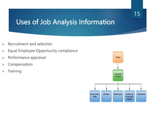 Job Element Analysis 3- Job Analysis.pptx