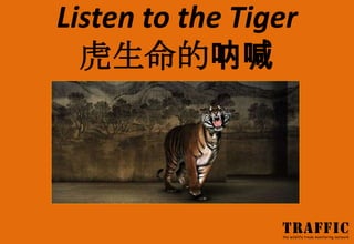 Listen to the Tiger
  虎生命的呐喊
 