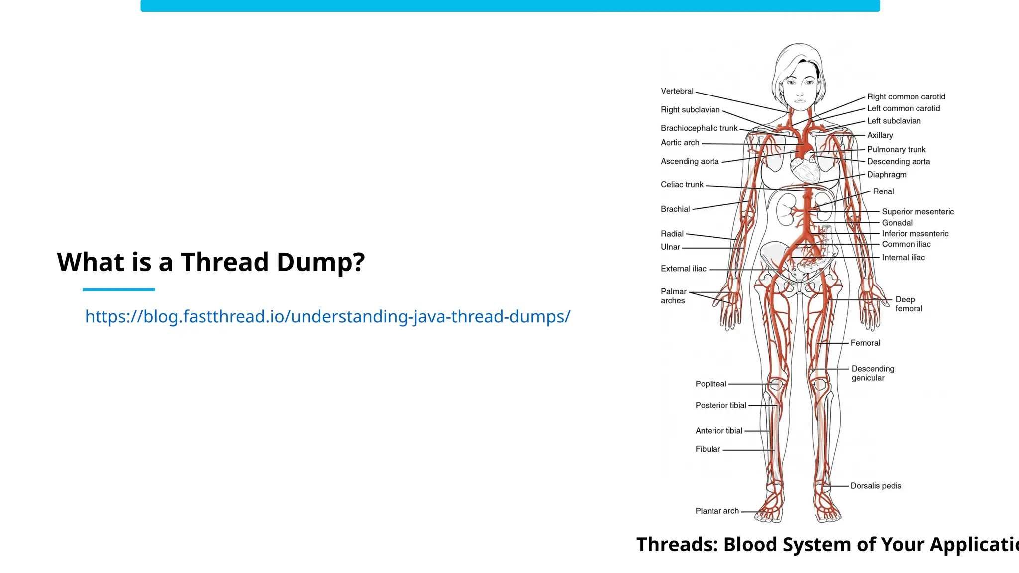 What is a Thread Dump?
Threads: Blood System of Your Applicatio
https://blog.fastthread.io/understanding-java-thread-dumps/
 
