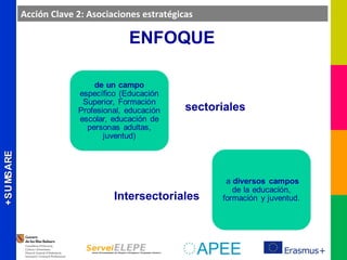 ERASMUS+ERASMUS+
ENFOQUE
sectoriales
Intersectoriales
Acción Clave 2: Asociaciones estratégicas
 