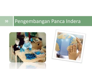Pengembangan Panca Indera30
 