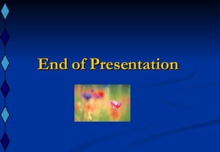 End of Presentation  