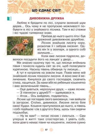 57
ЩО ЄДНАЄ СВІТ
ДИВОВИЖНА ДРУЖБА
Люблю я бродити по лісі, слухати зелений шум
дерев . . . Ось чому я не пропускаю можливості по-
бувати в лісі у знайомого лісника . Там я всі стежки
і всі чудові галявинки знаю .
Приїхав до нього цього літа і був
вражений дивовижною дружбою .
Лісник знайшов лисячу нору,
розкопав її і забрав лисенят . Од-
віз він їх у зоопарк, а одного собі
залишив . . . .
Коли вже лисеня підросло, до-
велося посадити його на ланцюг у дворі . . .
Ми знаємо казочку про те, що лисиця впіймала
півня і понесла кудись світ за очі, щоб поласувати
курятиною . Насилу півень обманув ту лисицю . . .
À тут я натрапив на зовсім інше . Повів мене мій
знайомий лісник показати лисеня . À воно вже й ве-
личеньке . Кинулося до свого господаря, скавчить
стиха, лащиться . За нами вбігло рябеньке кошенятко
і вже величенький півень . . .
— Оце дивіться, нерозлучні друзі, — каже лісник .
— З півником у дружбі?! — здивувався я .
— Àтож . . . Ось вийдемо, подивитесь .
Лісник ще погладив свого вихованця, і ми вийшли
із загорожі . Стоїмо, дивимося . Лисеня лягло біля
своєї будки . Кошеня притулилося до нього, а півень
і собі підійшов і сів з другого боку, щось там сидячи
подзьобує .
— Ну як вам? — питає лісник і сміється . — Сам
уперше в житті таке спостерігаю . ² уявіть собі,
коли довго немає півня чи кошеняти, лисеня сумно
 