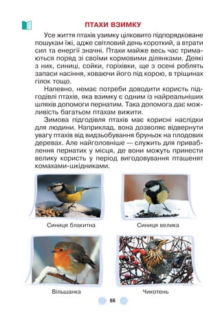 86
ПТАХИ ВЗИМКУ
Усе життя птахів узимку цілковито підпорядковане
пошукам їжі, адже світловий день короткий, а втрати
сил та енергії значні . Птахи майже весь час трима-
ються поряд зі своїми кормовими ділянками . Деякі
з них, синиці, сойки, горіхівки, ще з осені роблять
запаси насіння, ховаючи його під корою, в тріщинах
гілок тощо .
Напевно, немає потреби доводити користь під-
годівлі птахів, яка взимку є одним із найреальніших
шляхів допомоги пернатим . Така допомога дає мож-
ливість багатьом птахам вижити .
Зимова підгодівля птахів має корисні наслідки
для людини . Наприклад, вона дозволяє відвернути
увагу птахів від видзьобування бруньок на плодових
деревах . Àле найголовніше — служить для приваб-
лення пернатих у місця, де вони можуть принести
велику користь у період вигодовування пташенят
комахами-шкідниками .
Cиниця блакитна Cиниця велика
Вільшанка Чикотень
 