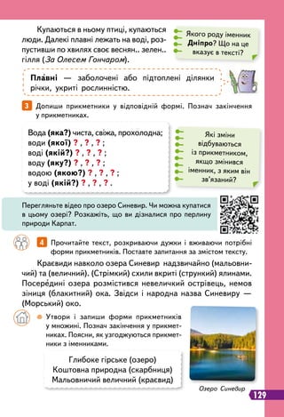 129
Вода (яка?) чиста, свіжа, прохолодна;
води (якої) ? , ? , ? ;
воді (якій?) ? , ? , ? ;
воду (яку?) ? , ? , ? ;
водою (якою?) ? , ? , ? ;
у воді (якій?) ? , ? , ? .
Глибоке гірське (озеро)
Коштовна природна (скарбниця)
Мальовничий величний (краєвид)
3   
Допиши прикметники у відповідній формі. Познач закінчення
у прикметниках.
Краєвиди навколо озера Синевир надзвичайно (мальовни-
чий) та (величний). (Стрімкий) схили вкриті (стрункий) ялинами.
Посередині озера розмістився невеличкий острівець, немов
зіниця (блакитний) ока. Звідси і народна назва Синевиру —
(Морський) око.
Якого роду іменник
Д
ніпро? Що на це
вказує в тексті?
Плавні — заболочені або підтоплені ділянки
річки, укриті рослинністю.
Які зміни
відбуваються
із прикметником,
якщо змінився
іменник, з яким він
зв’язаний?
Перегляньте відео про озеро Синевир. Чи можна купатися
в цьому озері? Розкажіть, що ви дізналися про перлину
природи Карпат.
		
4   
Прочитайте текст, розкриваючи дужки і вживаючи потрібні
форми прикметників. Поставте запитання за змістом тексту.
		
 
Утвори і запиши форми прикметників
у множині. Познач закінчення у прикмет-
никах. Поясни, як узгоджуються прикмет-
ники з іменниками.
Купаються в ньому птиці, купаються
люди. Далекі плавні лежать на воді, роз-
пустивши по хвилях своє веснян.. зелен..
гілля (За Олесем Гончаром).
Озеро Синевир
 