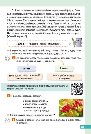 23
		
3   
За зразком тексту про білочку складіть і запишіть текст про
лисичку, вибравши один із варіантів.
У вінку зеленолистім,
у червоному намисті
заглядається у воду
на свою чарівну вроду.
 
Подумайте, який із текстів про білочку можна вмістити у підручнику
з читання, а який — у підручнику «Я досліджую світ».
 
Які слова допомогли тобі знайти відгадку?
4   
Прочитай і відгадай загадку.
Фауна — тварини певної місцевості.
1 текст 2 текст
точні відомості про зовнішній
вигляд тварини
чим подобається вам
ця тваринка
Перегляньте відео про лисицю. Розкажіть, якими бувають ці
тварини. Як лисичка полює?
		
5   
Склади і запиши опис калини. Використовуй в описі слова
із загадки.
2.Білканалежитьдонайкрасивішихтвариннашоїфауни.Голо-
ва її невелика, округла, з широким лобом, вуха досить великі, сто-
ячі, з китицями довгих волосків. Тіло витягнуте, завдовжки понад
20 см, гнучке. Хвіст пухнастий, густо вкритий волоссям. Довжина
хвоста майже дорівнює довжині тіла. Лапи чіпкі, з гострими
загнутими кігтями на пальцях. Забарвлення хутра у наших білок
досить мінливе: червоно-каштанове, бурувато-сіре, темно-буре.
Як окрасу наших лісів, парків і садів, білок узято під охорону
(Сергій Корнєєв).
 