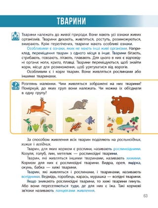 ТВАРИНИ
Тварини належать до живої природи. Вони мають усі ознаки живих
організмів. Тварини дихають, живляться, ростуть, розмножуються,
вмирають. Крім перелічених, тварини мають особливі ознаки.
Особливими є ознаки, яких не мають інші живі організми. Напри­
клад, переміщення тварин з одного місця в інше. Тварини бігають,
стрибають, повзають, літають, плавають. Для цього в них є відповід­
ні органи: ноги, крила, плавці. Тварини переміщуються, щоб знайти
корм, місце для розмноження, щоб урятуватися від ворогів.
Особливим є і корм тварин. Вони живляться рослинами або
іншими тваринами.
Розглянь малюнки.
Поміркуй, до яких
в одну групу?
Чим живляться зображені на них тварини?
груп вони належать. Чи можна їх об'єднати
За способом живлення всіх тварин поділяють на рослиноїдних,
хижих і всеїдних.
Тварин, для яких кормом є рослини, називають рослиноїдними.
Козуля, голуб, лин, метелик — рослиноїдні тварини.
Тварин, які живляться іншими тваринами, називають хижими.
Кормом для них є рослиноїдні тварини. Видра, орел, ящірка,
окунь, бабка — хижі тварини.
Тварин, які живляться і рослинами, і тваринами, називають
всеїдними. Ведмідь, горобець, карась, мурашка — всеїдні тварини.
Якщо зникають рослиноїдні тварини, то хижі тварини гинуть.
Або вони переселяються туди, де для них є їжа. Такі кормові
зв'язки називають ланцюгами живлення.
63
 