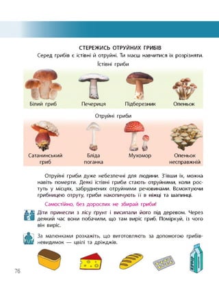 СТЕРЕЖИСЬ ОТРУЙНИХ ГРИБІВ
Серед грибів є їстівні й отруйні. Ти маєш навчитися їх розрізняти.
їстівні гриби
Білий гриб Печериця Підберезник Опеньок
Сатанинський
гриб
Отруйні гриби
Бліда Мухомор Опеньок
несправжнійпоганка
Отруйні гриби дуже небезпечні для людини. З'ївши їх, можна
навіть померти. Деякі їстівні гриби стають отруйними, коли рос­
туть у місцях, забруднених отруйними речовинами. Всмоктуючи
грибницею отруту, гриби накопичують її в ніжці та шапинці.
Самостійно, без дорослих не збирай гриби!
Н
Діти принесли з лісу ґрунт і висипали його під деревом. Через
деякий час вони побачили, що там виріс гриб. Поміркуй, із чого
він виріс.
& За малюнками розкажіть, що виготовляють за допомогою грибів-
невилимок — іівіпі та лпіжлжів
76
 