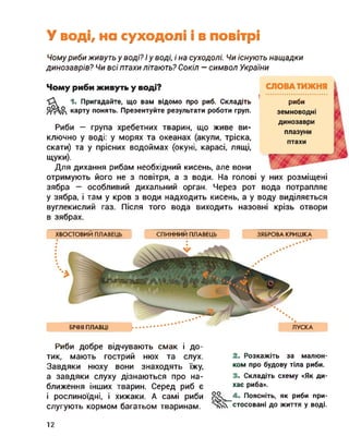 У воді, на суходолі і в повітрі
Чому риби живуть у воді? І у воді, і на суходолі. Чи існують нащадки
динозаврів? Чи всі птахи літають? Сокіл — символ України
Чому риби живуть у воді?
1. Пригадайте, що вам відомо про риб. Складіть
карту понять. Презентуйте результати роботи груп.
Риби — група хребетних тварин, що живе ви­
ключно у воді: у морях та океанах (акули, тріска,
скати) та у прісних водоймах (окуні, карасі, лящі,
щуки).
Для дихання рибам необхідний кисень, але вони
риби
земноводні
динозаври
плазуни
птахи
отримують його не з повітря, а з води. На голові у них розміщені
зябра — особливий дихальний орган. Через рот вода потрапляє
у зябра, і там у кров з води надходить кисень, а у воду виділяється
вуглекислий газ. Після того вода виходить назовні крізь отвори
в зябрах.
ХВОСТОВИЙ ПЛАВЕЦЬ СПИННИЙ ПЛАВЕЦЬ ЗЯБРОВА КРИШКА
БІЧНІ ПЛАВЦІ ЛУСКА
Риби добре відчувають смак і до­
тик, мають гострий нюх та слух.
Завдяки нюху вони знаходять їжу,
а завдяки слуху дізнаються про на­
ближення інших тварин. Серед риб є
і рослиноїдні, і хижаки. А самі риби
слугують кормом багатьом тваринам.
2. Розкажіть за малюн­
ком про будову тіла риби.
3. Складіть схему «Як ди­
хає риба».
4. Поясніть, як риби при-
стосовані до життя у воді.
12
 