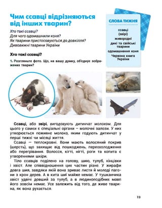 Чим ссавці відрізняються
від інших тварин?
Хто такі ссавці?
Для чого одомашнили коня?
Як тварини пристосовуються до довкілля?
Дивовижні тварини України
СЛОВА ТИЖНЯ
ссавці
(звірі)
живородні
дикі та свійські
тварини
одомашнення коня
Червона книга
України
Хто такі ссавці?
1. Розгляньте фото. Що, на вашу думку, об'єднує зобра­
жених тварин?
Ссавці, або звірі, вигодовують дитинчат молоком. Для
цього у самки є спеціальні органи - молочні залози. У них
утворюється поживне молоко, яким годують дитинчат у
перші тижні чи місяці життя.
Ссавці — теплокровні. Вони мають волосяний покрив
(шерсть), що захищає від пошкоджень, переохолодження
або перегрівання. Волосся, кігті, нігті, роги та копита є
утвореннями шкіри.
Тіло ссавців поділено на голову, шию, тулуб, кінцівки
і хвіст. Але співвідношення цих частин різне. У жирафи
довга шия, завдяки якій вона зриває листя й молоді паго­
ни з крон дерев. А в кита шиї майже немає. У тушканчика
хвіст удвічі довший за тулуб, а в людиноподібних мавп
його зовсім немає. Усе залежить від того, де живе твари­
на, як вона рухається.
19
 