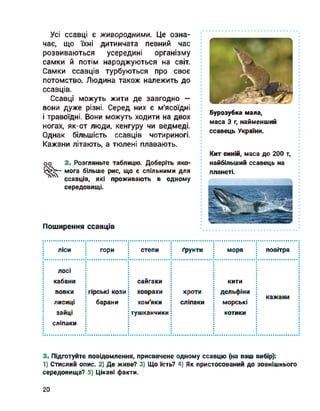 Усі ссавці є живородними. Це озна­
чає, що їхні дитинчата певний час
розвиваються усередині організму
самки й потім народжуються на світ.
Самки ссавців турбуються про своє
потомство. Людина також належить до
ссавців.
Ссавці можуть жити де завгодно —
вони дуже різні. Серед них є м'ясоїдні
і травоїдні. Вони можуть ходити на двох
ногах, як-от люди, кенгуру чи ведмеді.
Однак більшість ссавців чотириногі.
Кажани літають, а тюлені плавають.
оо 2- Розгляньте таблицю. Доберіть яко-
5^“ мога більше рис, що є спільними для
4 ссавців, які проживають в одному
середовищі.
Поширення ссавців
Бурозубка мала,
маса 3 г, найменший
ссавець України.
Кит синій, маса до 200 т,
найбільший ссавець на
планеті.
ліси гори степи ґрунти моря повітря
лосі
кабани
вовки
лисиці
зайці
сліпаки
гірські кози
барани
сайгаки
ховрахи
хом'яки
тушканчики
кроти
сліпаки
кити
дельфіни
морські
котики
кажани
3. Підготуйте повідомлення, присвячене одному ссавцю (на ваш вибір):
1) Стислий опис. 2) Де живе? 3) Що їсть? 4) Як пристосований до зовнішнього
середовища? 5) Цікаві факти.
20
 