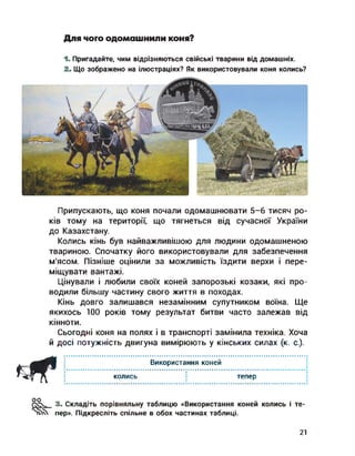Для чого одомашнили коня?
1. Пригадайте, чим відрізняються свійські тварини від домашніх.
2. Що зображено на ілюстраціях? Як використовували коня колись?
Припускають, що коня почали одомашнювати 5-6 тисяч ро­
ків тому на території, що тягнеться від сучасної України
до Казахстану.
Колись кінь був найважливішою для людини одомашненою
твариною. Спочатку його використовували для забезпечення
м'ясом. Пізніше оцінили за можливість їздити верхи і пере­
міщувати вантажі.
Цінували і любили своїх коней запорозькі козаки, які про­
водили більшу частину свого життя в походах.
Кінь довго залишався незамінним супутником воїна. Ще
якихось 100 років тому результат битви часто залежав від
кінноти.
Сьогодні коня на полях і в транспорті замінила техніка. Хоча
й досі потужність двигуна вимірюють у кінських силах (к. с.).
-лг
3. Складіть порівняльну таблицю «Використання коней колись і те­
пер». Підкресліть спільне в обох частинах таблиці.
Використання коней
колись тепер
оо
21
 