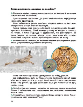 Як тварини пристосовуються до довкілля?
1. Обговоріть, навіщо тваринам пристосовуватися до довкілля. А як людина
пристосовується до довкілля?
Пристосування організмів до умов навколишнього середовища
називають адаптацією.
Коли змінюються умови довкілля, тварини мають до них при­
стосуватися, інакше вони не виживуть.
Кожна тварина має певні особливості, які допомагають їй адап­
туватися. Наприклад, білий ведмідь узимку не впадає в сплячку,
як бурий. У білих ведмедів є особливості, які допомагають їм
адаптуватися до холоду: товсте хутро; шар жиру під хутром;
волосяний покрив на лапах, щоб не було слизько на льоду.
2. Розгляньте фото і поясніть, як зображені тварини пристосувалися до до­
вкілля (скористайтеся додатковими джерелами).
Люди теж мають здатність адаптуватися до змін у довкіллі.
Що відбувається, коли ви плаваєте або приймаєте ванну? Ваше
тіло якось адаптується до води? Ваші пальці стають зморшкува­
тими. Тіло робить це, щоб допомогти пальцям чіплятися за речі,
навіть у воді.
3. Виберіть будь-яку тварину і напишіть, як вона адаптується до довкілля
(будова і забарвлення тіла; попередження про небезпеку; відлякування
ворогів тощо).
4. Обговоріть, як пристосовується людське тіло до холоду чи спеки. Як реа­
гує зіниця на зміну освітлення? Чому?
22
 