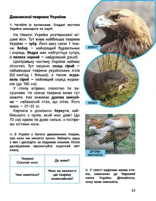 Дивовижні тварини України
1. Читайте із зупинками. Згадані частини
України знаходьте на карті.
На півночі України розташовані мі­
шані ліси. Тут живе найбільша тварина
України - зубр. Його вага сягає 1 тон­
ни. Бобер — найкращий будівельник
і нирець. Видра має найгустіше хутро,
а лелека чорний - найдовший дзьоб.
Центральну частину України займає
лісостеп. Тут мешкає заєць сірий —
найшвидша тварина українських лісів
(60 км/год і більше); а також жура­
вель сірий — найвищий серед журав­
лів (до 180 см).
У степу вітряно, спекотно та за­
сушливо. Не кожна тварина може тут
вижити. Але виживає дрохва звичай­
на - найважчий птах, що літає. Його
маса - 21-22 кг.
Карпати є домівкою беркута, най­
більшого з орлів, який має довгі (до
70 см) крила та дуже сильні, з гостри­
ми кігтями ноги.
БЕРКУТ
ВИДРА
3. У тексті виділено назви пта­
хів, занесених до Червоної
книги України. Дізнайтеся,
чому вони зникають.
2. В Україні є багато дивовижних тварин,
про яких ми нечасто чуємо. Виберіть одну
з них і дослідіть за поданою схемою. Після
дослідження презентуйте короткий звіт
класу.
Тварина
Стислий опис
Де живе?
Чим живиться?
Чому ви вважаєте
цю тварину
незвичайною?
23
 