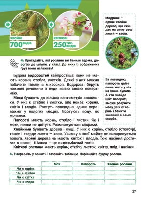 4. Пригадайте, які рослини ви бачили вдома, до­
рогою до школи, у класі. До яких із зображених
груп вони належать?
00
Модрина -
єдине хвойне
дерево, що ски­
дає на зиму своє
листя - хвою.
Хвойними бувають дерева і кущі. У них є корінь, стебло (стовбур),
тонке і тверде листя — хвоя. Узимку з хвої майже не випаровується
волога. Хвойні дерева не мають квіток і плодів. їхнє насіння дости­
гає в шишці. Шишка - це видозмінений пагін.
Квіткові рослини мають корінь, стебло, листок, квітку, плід і насіння.
Будова водоростей найпростіша: вони не ма­
ють кореня, стебла, листків. Деякі з них можна
побачити тільки в мікроскоп. Водорості беруть
поживні речовини з води всією своєю поверх­
нею.
Мохи бувають до кількох сантиметрів заввиш­
ки. У них є стебло і листки, але немає кореня,
квітів і плодів. Ростуть повсюдно, однак пере­
важно у вологих місцях. Всотують воду, як
мочалка.
Папороті мають корінь, стебло і листки. Як і
мохи, ніколи не цвітуть. Розмножуються спорами.
За легендою,
папороть цвіте
лише мить у ніч
на Івана Купала.
А хто знайде
цвіт папороті,
зможе розуміти
мову усіх ство­
рінь і бачити
заховані в землі
скарби.
5. Накресліть у зошиті і заповніть таблицю. Порівняйте будову рослин.
Мох Папороть Хвойна рослина
Чи є корінь
Чи є стебло
Чи є квітка
Чи є спори
27
 