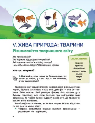 V. ЖИВА ПРИРОДА: ТВАРИНИ
Різноманіття тваринного світу
Хто такі тварини?
Яка користь від дощового черв'яка?
Які тварини - першіжителі суходолу?
Чим небезпечні павуки? Одомашнені комахи
Хто такі тварини?
СЛОВА ТИЖНЯ
тварини
хребетні
безхребетні
кільчасті черви
комахи
павуки
раки
1. Пригадайте, яких тварин ви бачили вдома, до­
рогою до школи, у класі. Що в них спільного,
а чим відрізняються?
Тваринний світ нашої планети надзвичайно різноманітний.
Корал, бджола, хамелеон, лама, лев, дельфін — усе це тва­
рини. Вони мають різні розміри, форму тіла, органи руху,
будову, поведінку. Але коли йдеться про найпростіші живі
організми, то часом важко відразу визначити, до тварин чи
рослин вони належать.
Учені виділяють ознаки, за якими тварин можна відрізни­
ти від решти живих істот:
тварини живляться іншими живими організмами —
рослинами чи тваринами;
4
 